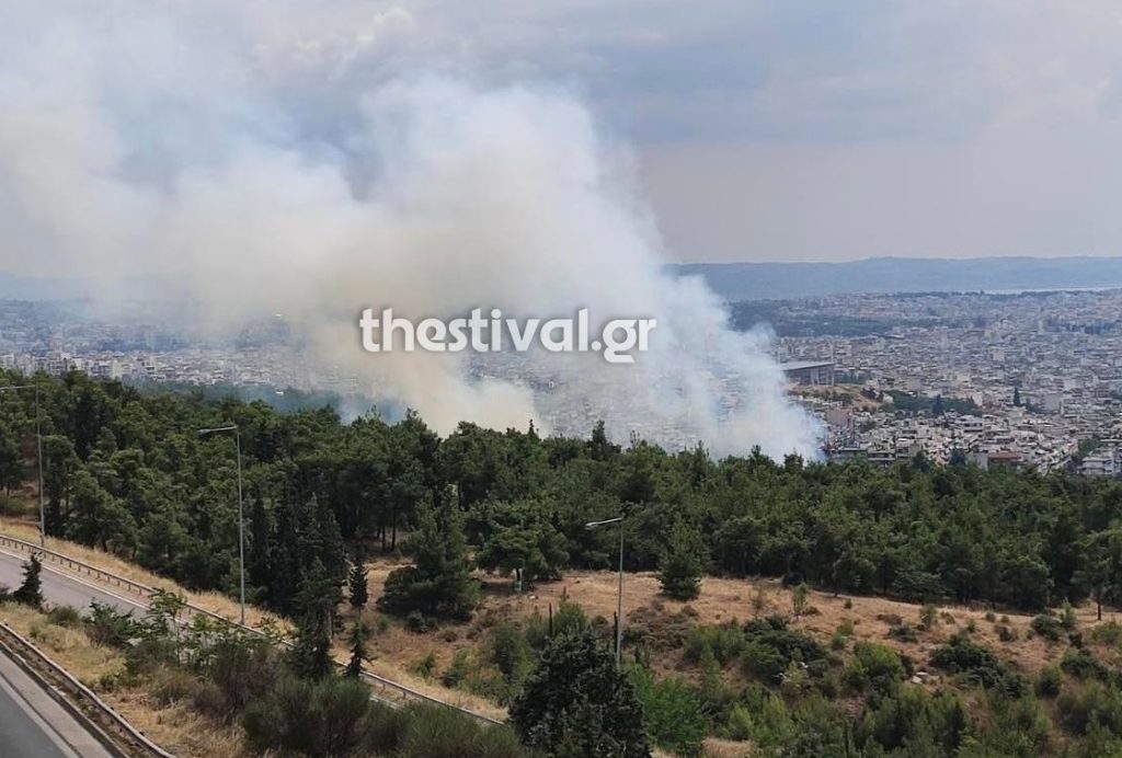 Θεσσαλονίκη: Οριοθετήθηκε η φωτιά στο Σέιχ Σου – Κάηκαν 30 στρέμματα δάσους (upd)
