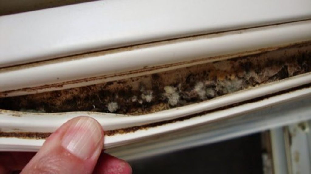 Καθαρίστε βρωμιές και μούχλα από το λάστιχο του ψυγείου με απλά υλικά που έχετε στο ντουλάπι σας