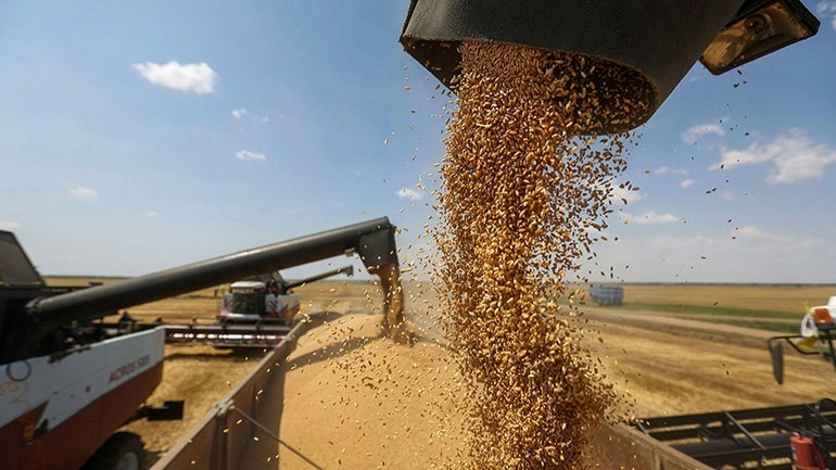 Ουκρανία: Οι εξαγωγές σιτηρών θα φτάσουν τον Αύγουστο σχεδόν στα επίπεδα πριν από τον πόλεμο