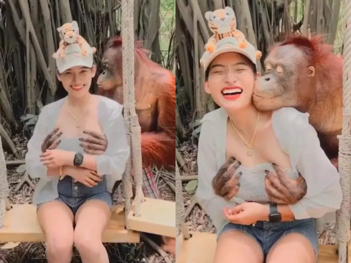 Ταϊλάνδη: «Μερακλής» ουρακοτάγκος δείχνει την αγάπη του θωπεύοντας τουρίστριες στον ζωολογικό κήπο (βίντεο)
