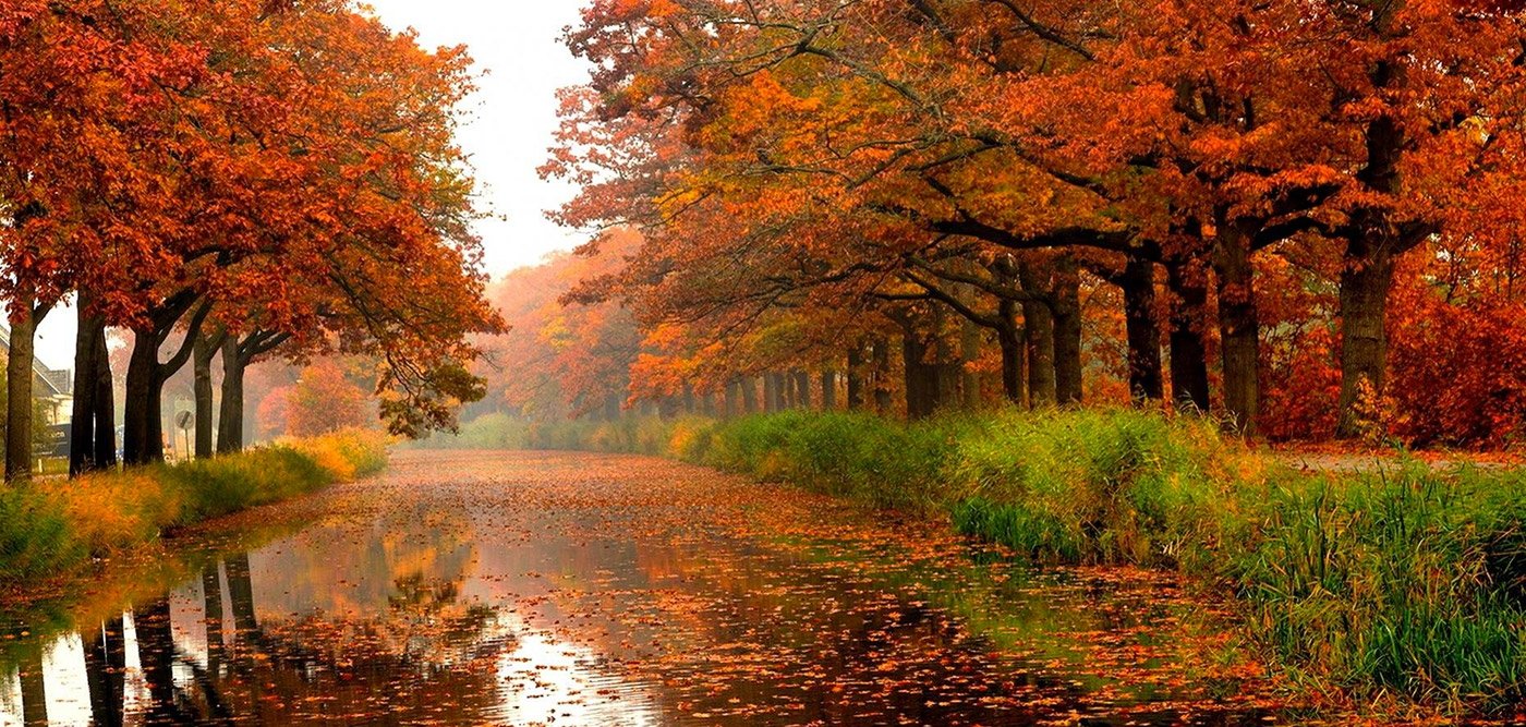 Τα 3 ζώδια που αγαπούν το φθινόπωρο – Είναι η εποχή που νιώθουν ευτυχισμένοι