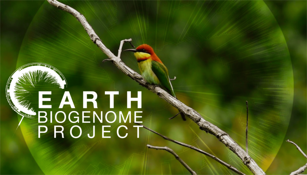 Γενετική κιβωτός: Επιστήμονες συνεργάζονται για την γενετική αλληλούχιση όλων των ευκαρυωτικών οργανισμών στη Γη