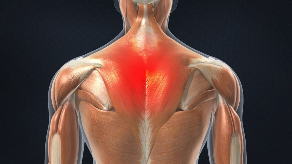 Πόνος στην πλάτη: Αυτός είναι ο #1 τρόπος πρόληψης – Παίρνει μόλις 15 λεπτά την ημέρα
