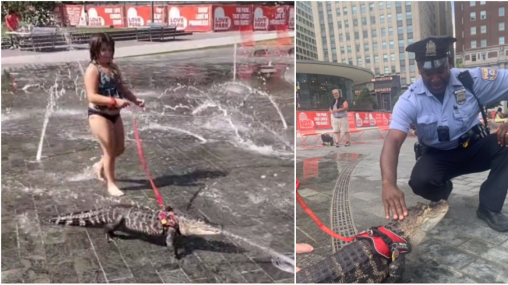 ΗΠΑ: Κορίτσι έβγαλε βόλτα με… λουρί αλιγάτορα για να δροσιστεί σε σιντριβάνι (βίντεο)