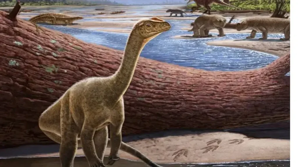 Mbiresaurus raathi: Ανακαλύφθηκε ο αρχαιότερος δεινόσαυρος της Αφρικής