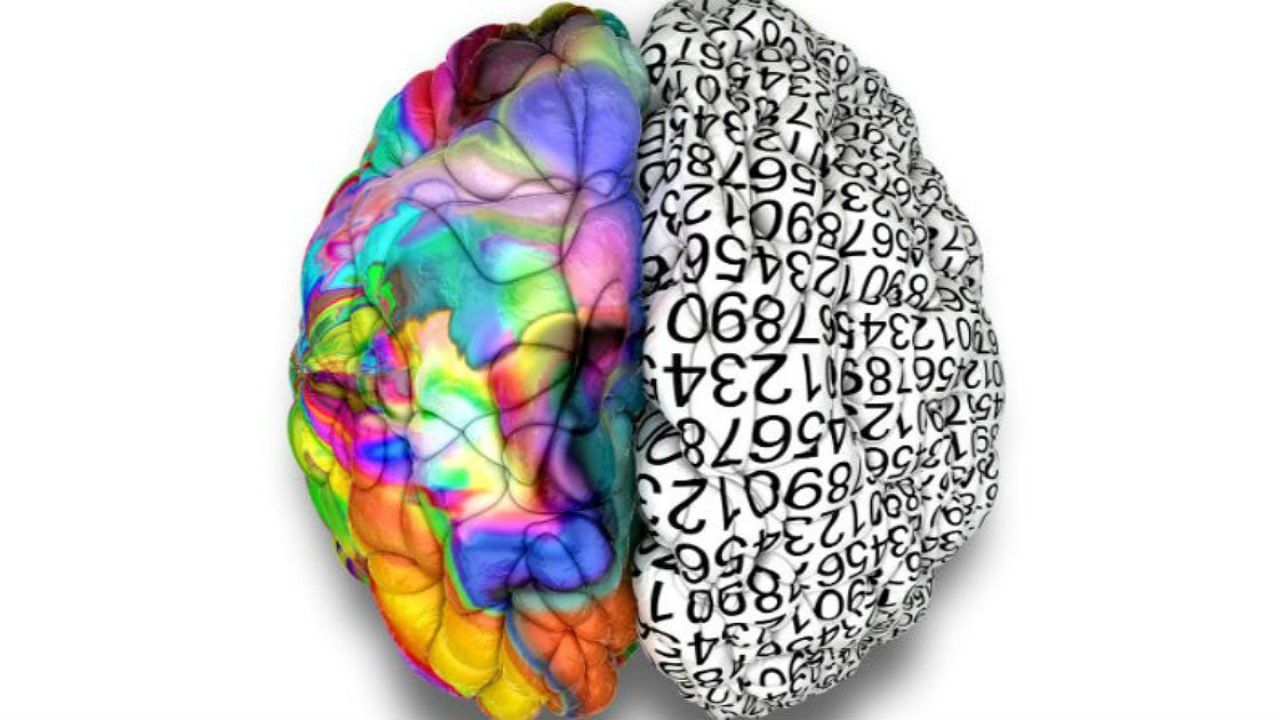Νέα μελέτη: Μετράμε πιο φυσικά από αριστερά στα δεξιά αλλά ο εγκέφαλος μετράει καλύτερα από κάτω προς τα πάνω!