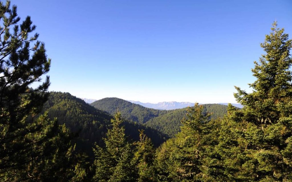 Πάρνωνας: Αλπικά δάση και ειδυλλιακά μονοπάτια – Ο ιδανικός προορισμός για ηρεμία και γαλήνη