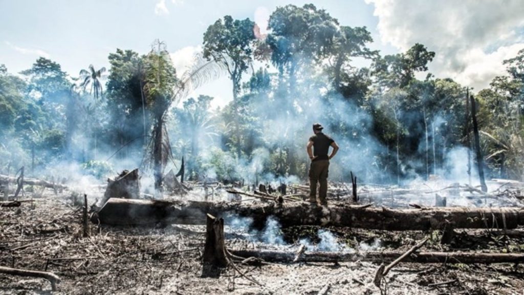 Αμαζόνιος: Ο φετινός Αύγουστος ήταν ο χειρότερος της τελευταίας 12ετίας
