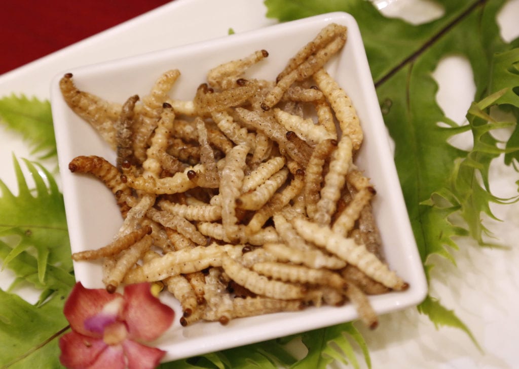 Βρετανοί «επιστήμονες» θέλουν να υποχρεώσουν τους Αφρικανούς να τρώνε… έντομα για να αντιμετωπίσουν την πείνα!