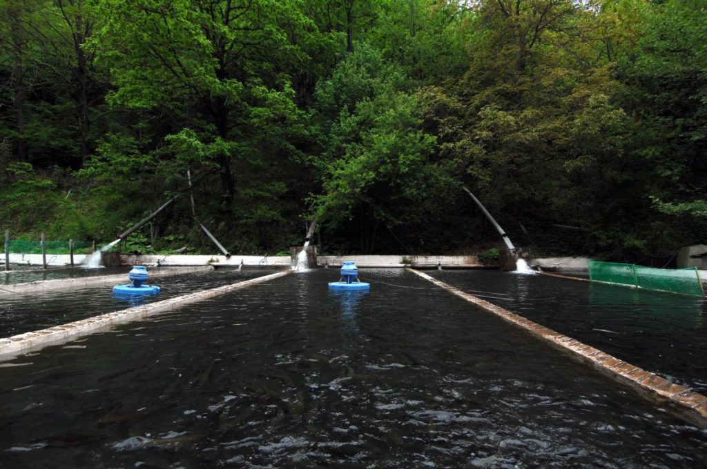 Δύο συλλήψεις μετά την έκρηξη στην Πρέβεζα
