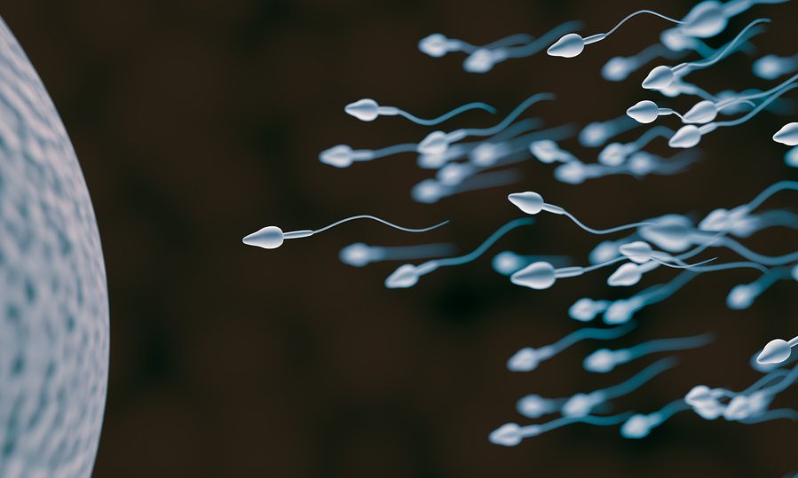 Άνδρας πουλάει το «μαγικό» σπέρμα του για 45.000 δολάρια – Τα 2 μυστικά του για σούπερ γονιμότητα