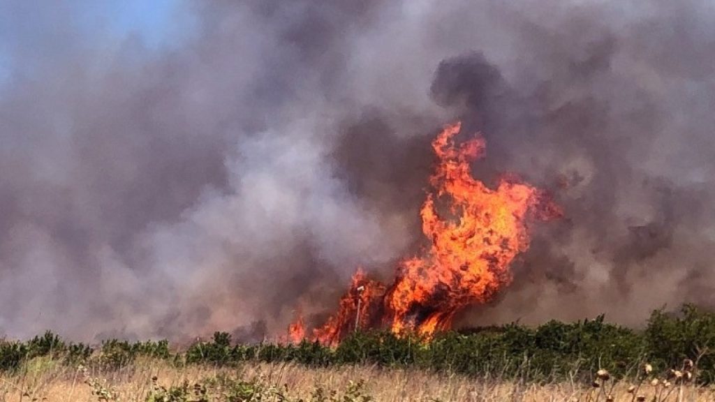 Αργολίδα: Φωτιά σε δασική έκταση στην Καρακάξα