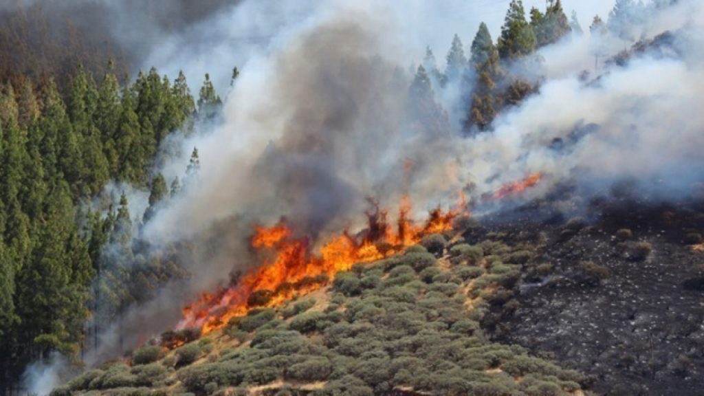Πολιτική Προστασία: Υψηλός ο κίνδυνος πυρκαγιάς για σήμερα σε αρκετές περιοχές