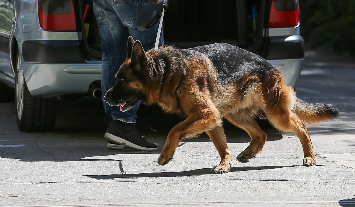 Ξεσπά ο πατέρας του βρέφους που δέχθηκε επίθεση από σκύλο στο Ηράκλειο – «Χύμηξε να του βγάλει τα μάτια» (φώτο)