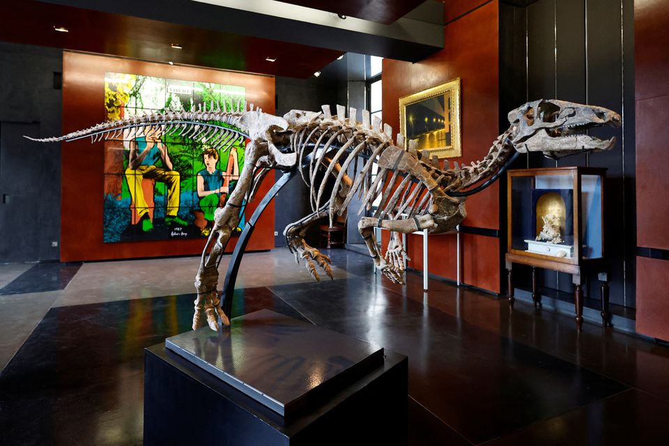 Σκελετός δεινοσαύρου πωλείται σε δημοπρασία στο Παρίσι