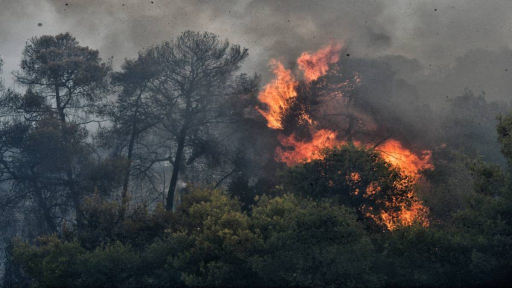 Τζια: Φωτιά σε χορτολιβαδική έκταση στην περιοχή Ιουλίδα