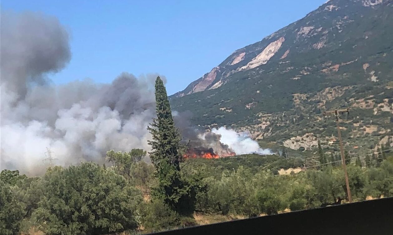 Ναύπακτος: Οριοθετήθηκε η φωτιά στην Αφροξυλιά