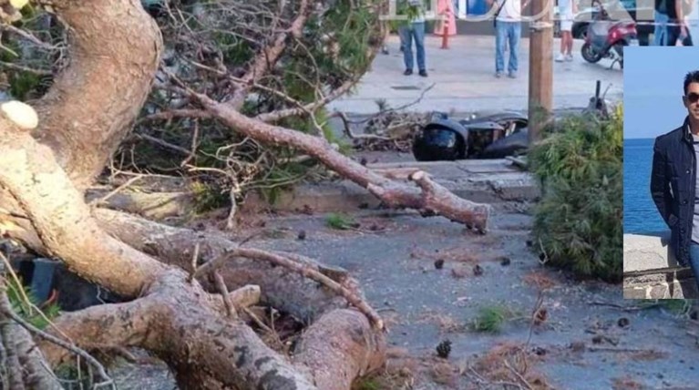 Κρήτη – Συγκινητική στιγμή : «Ξήλωσε» το δέντρο που σκότωσε τον πατέρα του (φωτό)