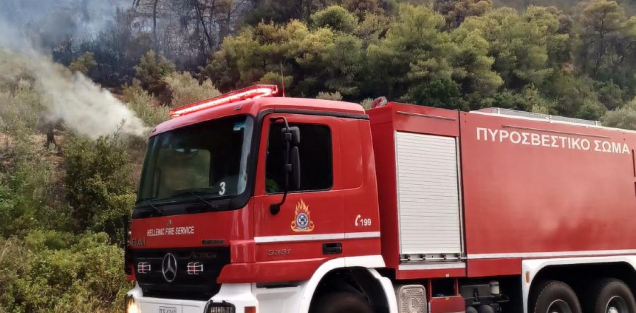 Φωτιά σε Ηλεία και Ροδόπη – Κινητοποιήθηκαν πυροσβεστική και εναέρια μέσα