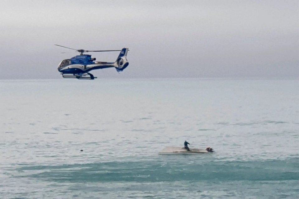Νέα Ζηλανδία: Σκάφος προσέκρουσε σε φάλαινα – Πέντε νεκροί