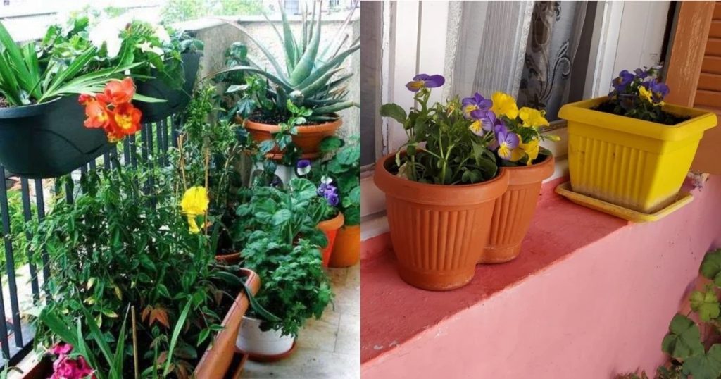 Φέρνουν τύχη & αγάπη στο σπίτι: Τα πέντε ανθεκτικά φυτά που θα ομορφύνουν το μπαλκόνι σου φέτος το φθινόπωρο