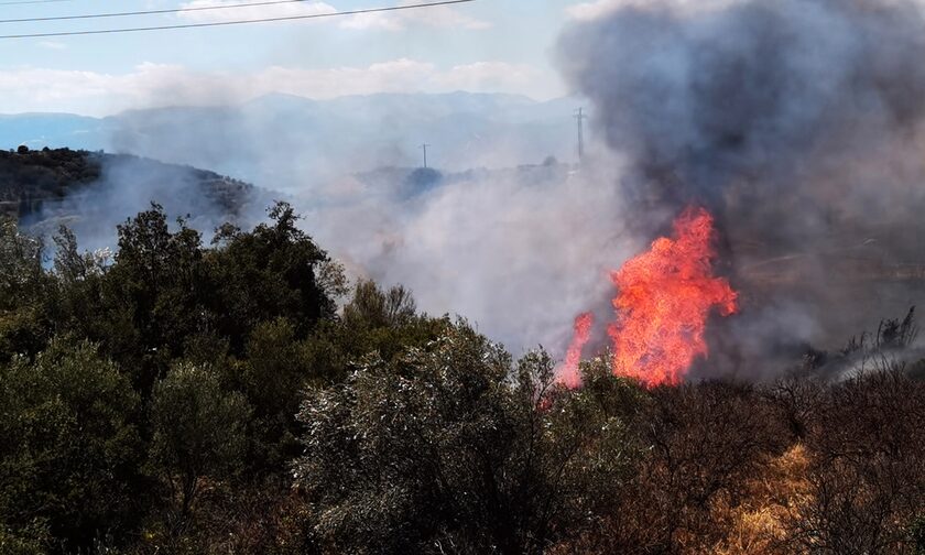 Αχαΐα: Οριοθετήθηκε η φωτιά στην Αιγιάλεια