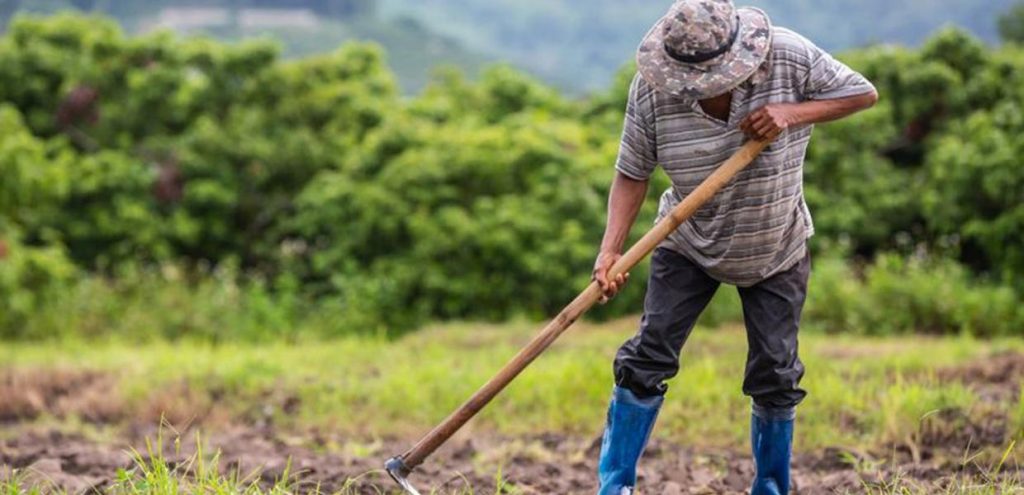 Aγρότες: Στο ΦΕΚ η μείωση φόρου κατά 50% – Ποιους αφορά