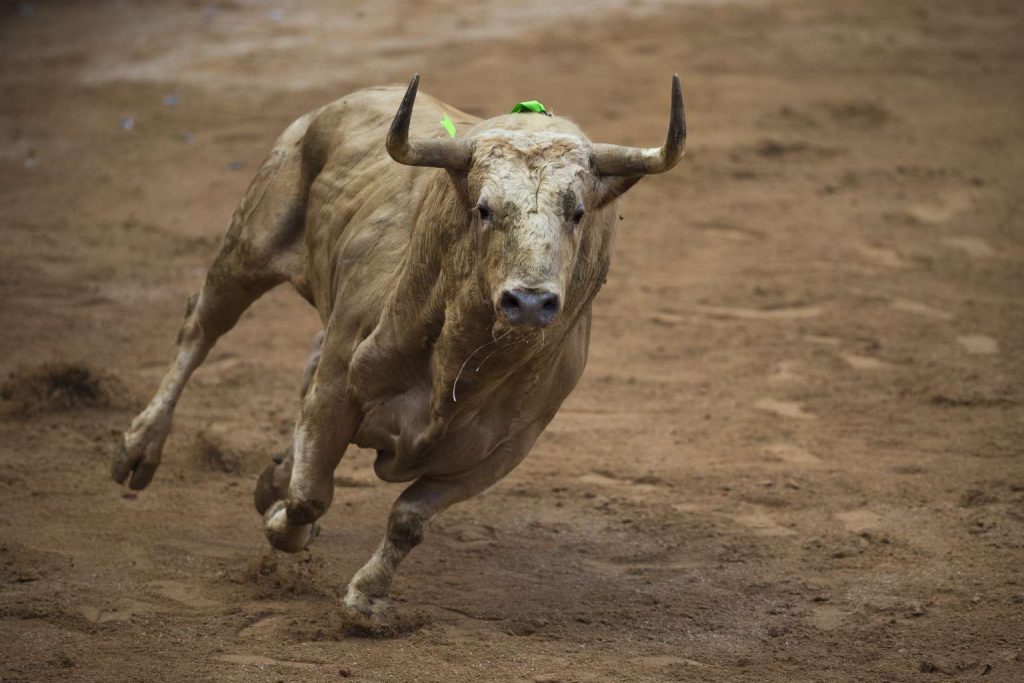 Ταύρος σκότωσε με χτύπημα στον λαιμό 30χρονο σε αυτοσχέδιο «κυνηγητό» στην Ισπανία (βίντεο)