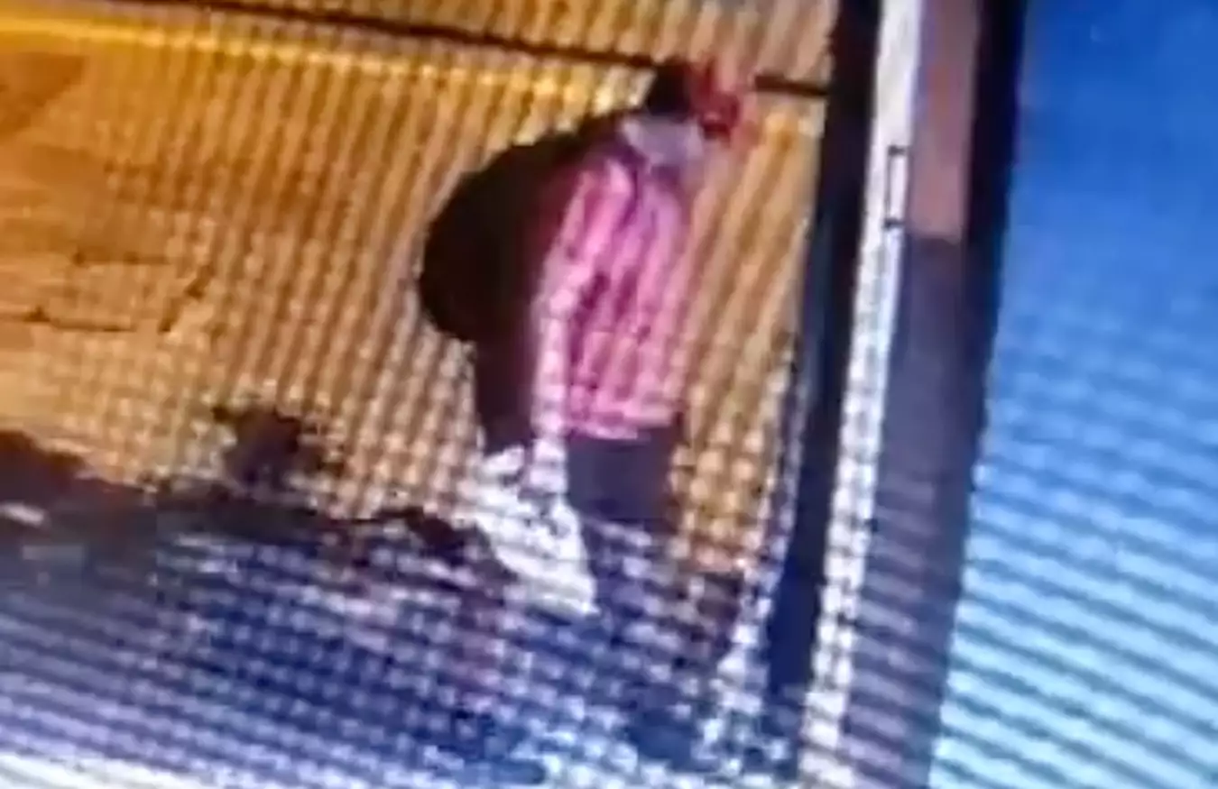 Ταυτοποιήθηκε ο άνδρας που ποδοπάτησε & σκότωσε γατάκι στη Θεσσαλονίκη