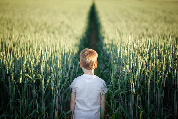 Χαλκιδική: Εξαφάνιση 2χρονου αγοριού από χωράφι στην περιοχή της Νικήτης