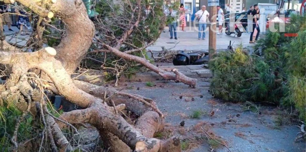 Ηράκλειο: Ξέσπασμα της συζύγου του 50χρονου που πέθανε από πτώση δέντρου – «Ήταν δολοφονία αυτό που έγινε»