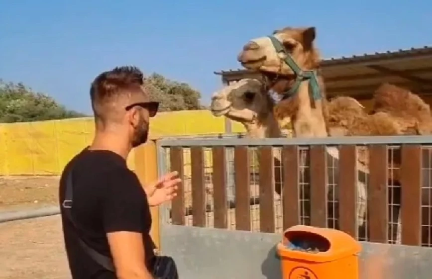 Κύπρος: Μουσικός τραγούδησε Αργυρό σε καμήλες και έγινε viral (βίντεο)
