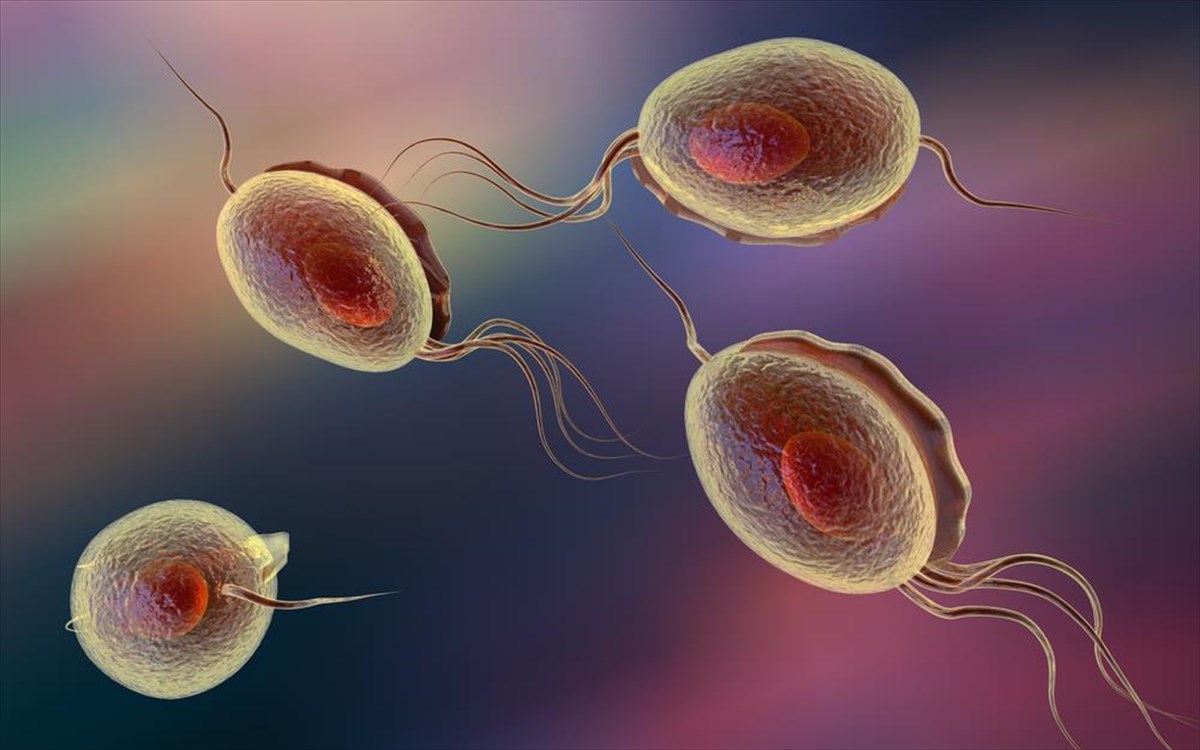 Ανδρική γονιμότητα: Τελικά τα στενά εσώρουχα επηρεάζουν ή όχι το σπέρμα του άνδρα;