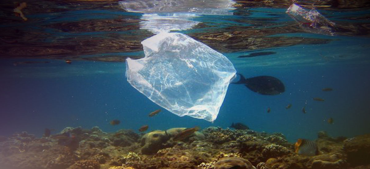 Πάρος: Τεράστιος όγκος σκουπιδιών στη θάλασσα – Ανασύρθηκε ακόμα και μεταλλικός στύλος φωτισμού των δρόμων