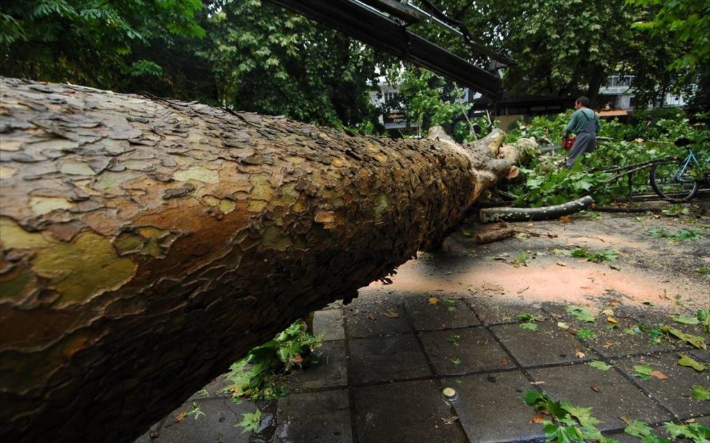 Κακοκαιρία στις Σέρρες: 69χρονος καταπλακώθηκε από δένδρο – «Πήγαινε να πάρει το κινητό»