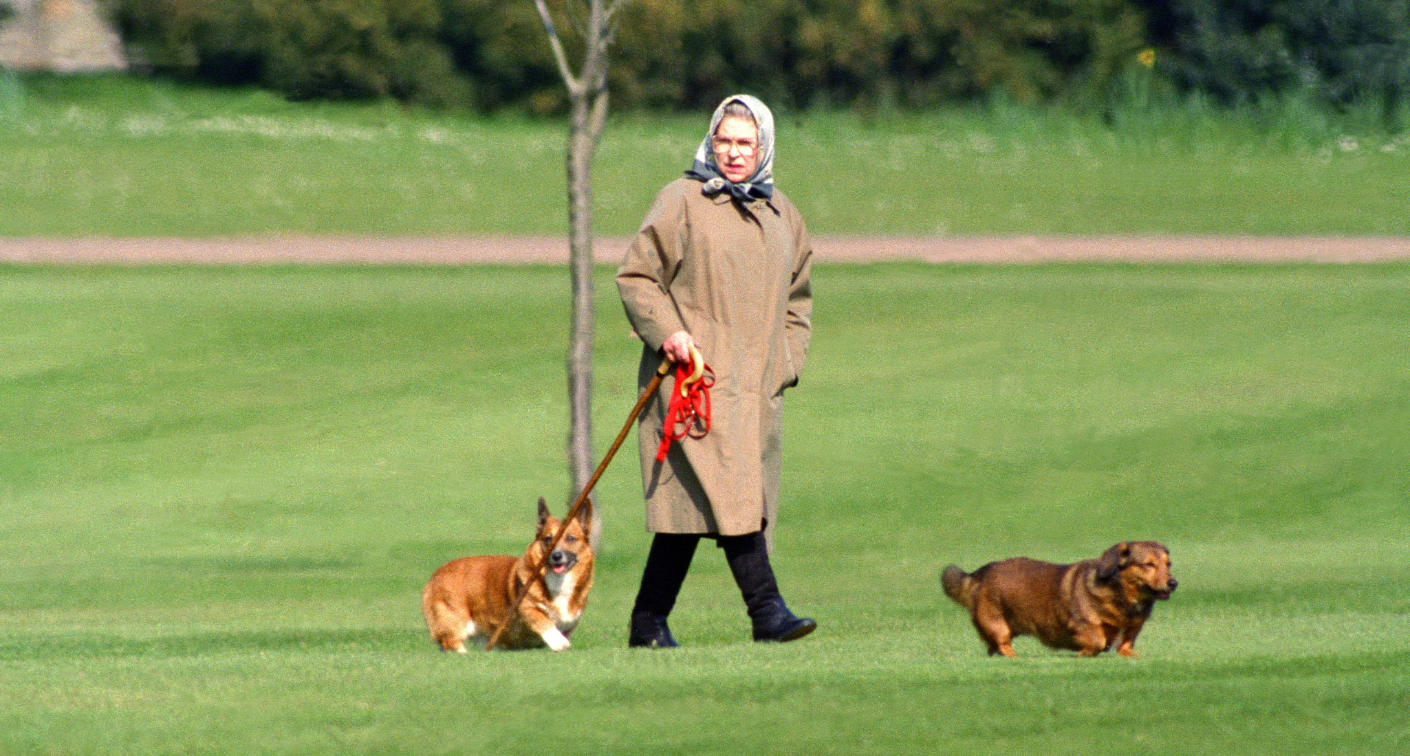 Βασίλισσα Ελισάβετ: Τα αγαπημένα της κόργκι την περίμεναν στο Κάστρο του Γουίνσδορ (φωτο)