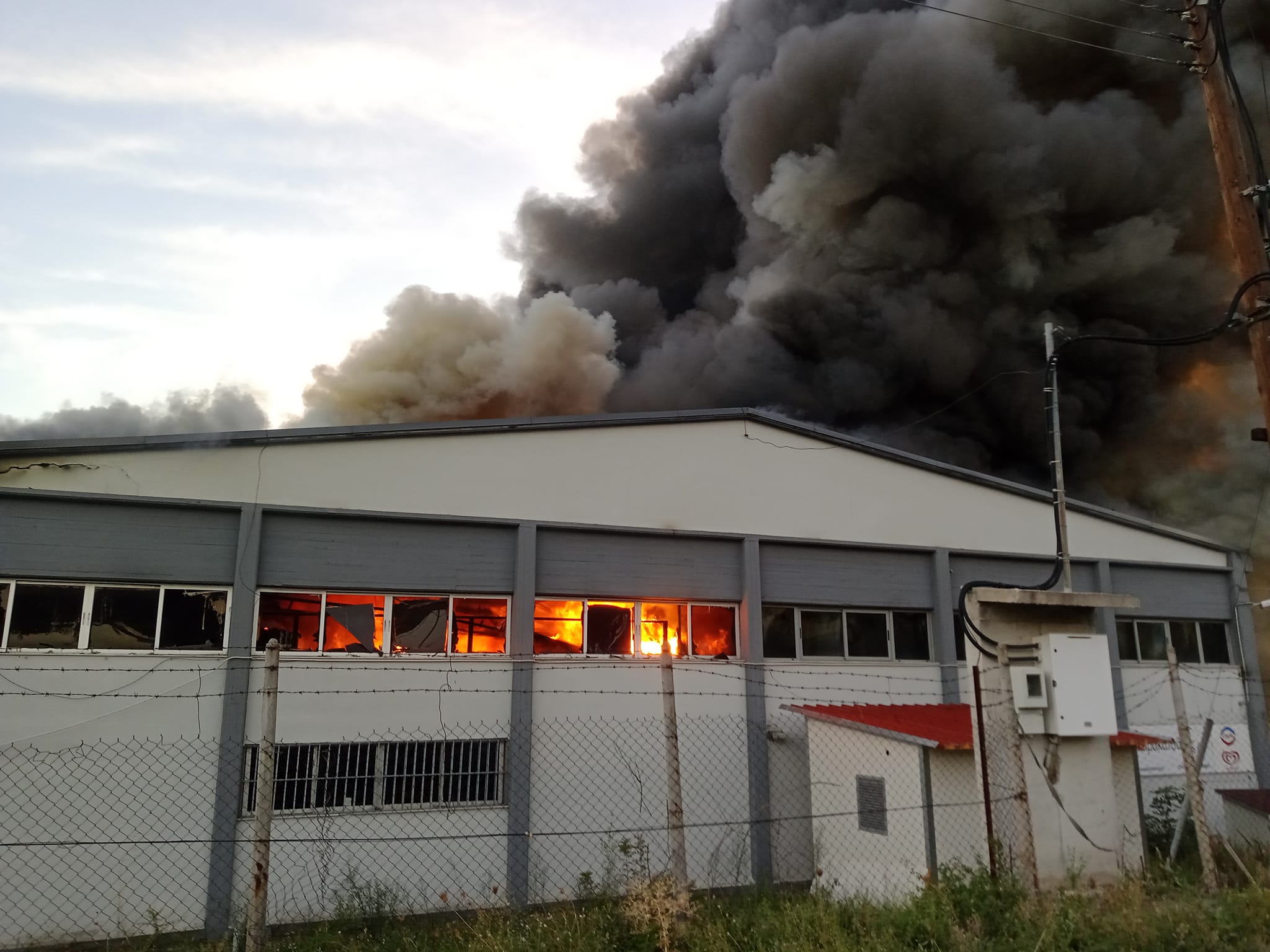 Βόλος: Πυρκαγιά σε εργοστάσιο τροφίμων στην ΒΙΠΕ – Ανυπολόγιστη η καταστροφή σε εμπορεύματα (βίντεο)