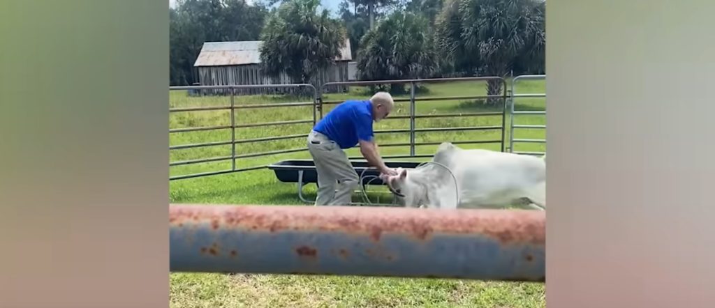 Απολαυστικό βίντεο: Οι «άτυχες» στιγμές της εβδομάδας όπως καταγράφηκαν από κάμερα