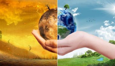 ΠΟΥ: Το περιβάλλον ευθύνεται για το 25% των θανάτων παγκοσμίως