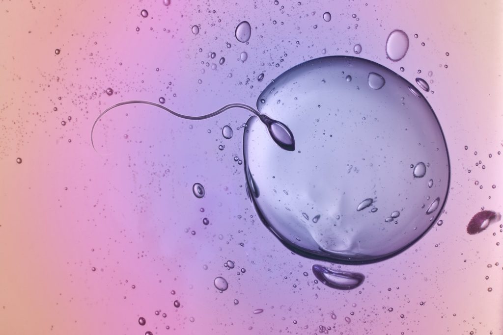 Κατάψυξη ωαρίων: Η διαδικασία της ωοληψίας σε νεότερη ηλικία αυξάνει τις πιθανότητες επιτυχίας
