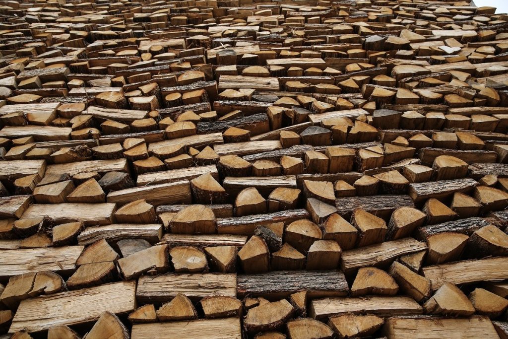 Θεσσαλονίκη: Άγνωστοι έκλεψαν 20 τόνους καυσόξυλα από το Κοινοτικό Δάσος Λιβαδίου