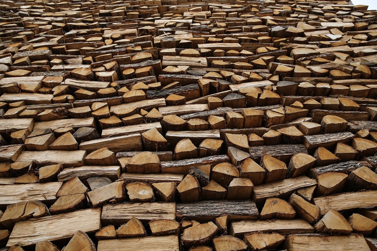 Θεσσαλονίκη: Άγνωστοι έκλεψαν 20 τόνους καυσόξυλα από το Κοινοτικό Δάσος Λιβαδίου