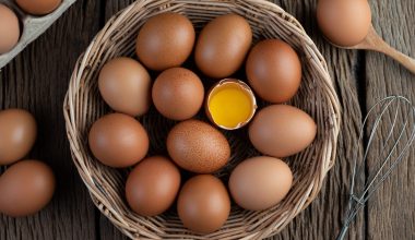 Δείτε τι θα συμβεί στο σώμα σας αν τρώτε κάθε μέρα αυγό
