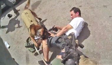 HΠΑ: Η στιγμή που αστυνομικοί σκοτώνουν έναν άνδρα που σημάδεψε το κεφάλι αστυνομικού σκύλου (βίντεο)