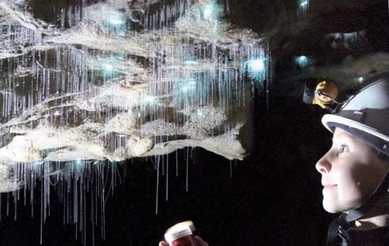 Λάμψη …αστεριών κάτω από τη Γη δημιουργεί «μαγικό» θέαμα (φωτο)