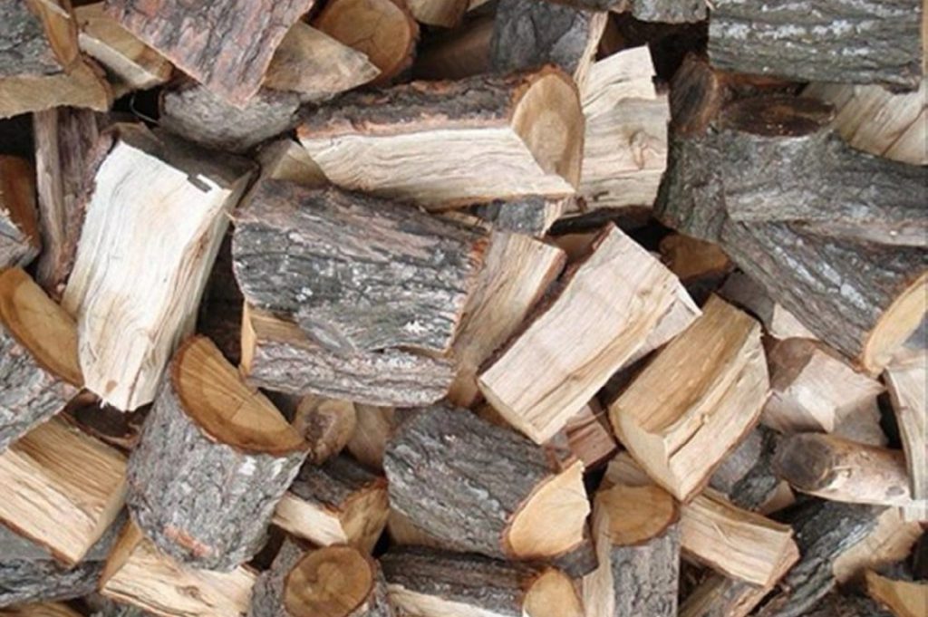 Χαλκίδα: Συνελήφθησαν τρεις αλλοδαποί που έκοβαν παράνομα ξυλεία από κτήμα για να πουλήσουν τα κούτσουρα