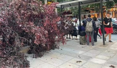 Θεσσαλονίκη: Έπεσε δέντρο σε πεζοδρόμιο στην Εγνατία (βίντεο)