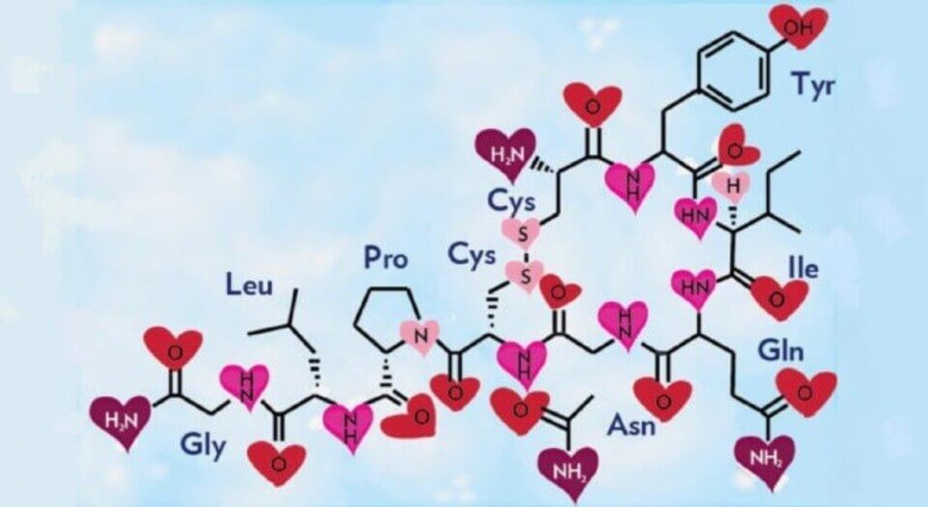 «Ορμόνη της αγάπης»: Η ωκυτοκίνη ίσως μπορεί να θεραπεύσει κυριολεκτικά πληγωμένες καρδιές