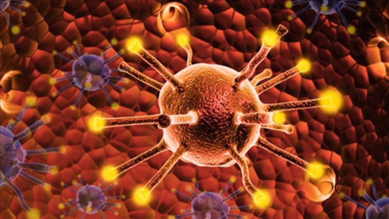 Νέα μελέτη: Οι καρκινικοί όγκοι μπορεί να περιέχουν πολλά είδη μυκήτων