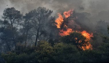 Μεγάλη φωτιά σε δύσκολο σημείο στο Ρέθυμνο: Επιχειρούν και εναέρια μέσα